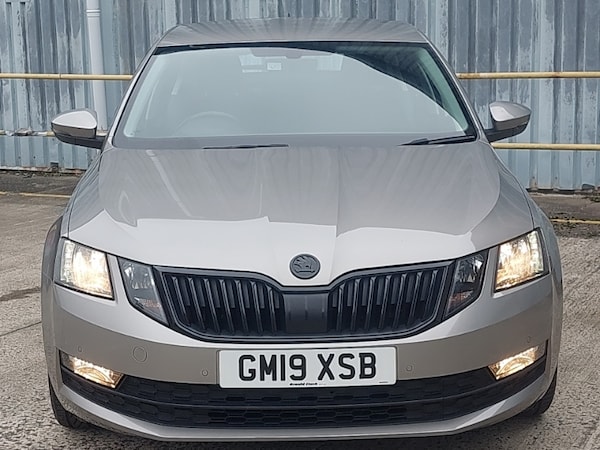Used Skoda Octavia 2019 for sale - 76199612: Photo 12