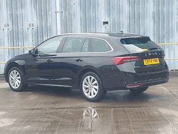 Used Skoda Octavia 2025 for sale - 75050055: Photo