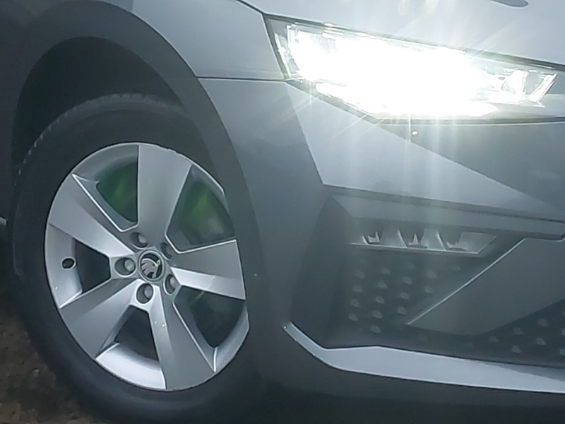 Used Skoda Scala 2024 for sale - 77289688: Photo 9