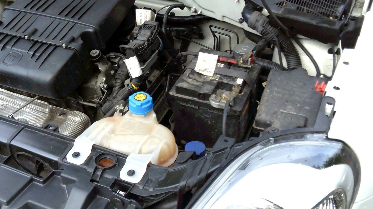 Used Fiat Punto for sale - 77242737: Photo 19