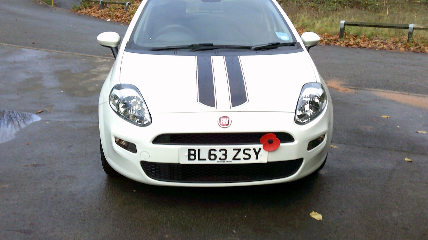 Used Fiat Punto 2014 for sale - 77892922: Photo 6