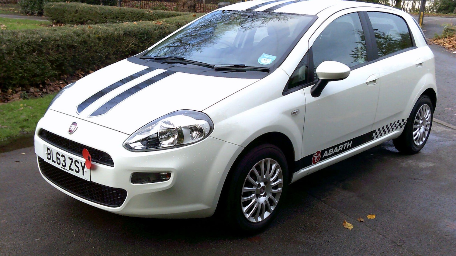 Used Fiat Punto 2014 for sale - 77892922: Photo 7
