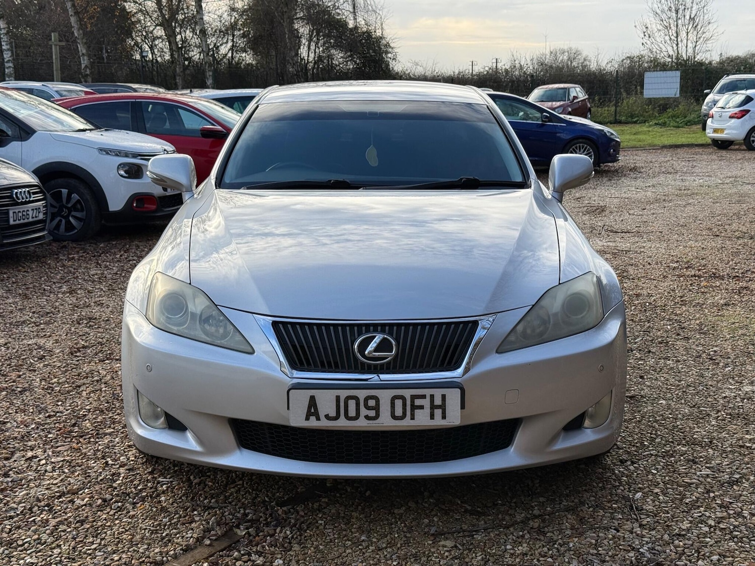 Used Lexus IS 2009 for sale - 76839380: Photo 2