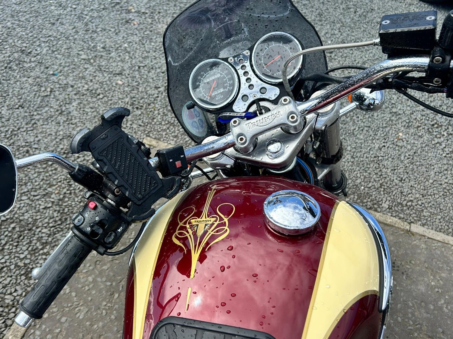 Used Triumph THUNDERBIRD 1995 for sale - 78274107: Photo 9