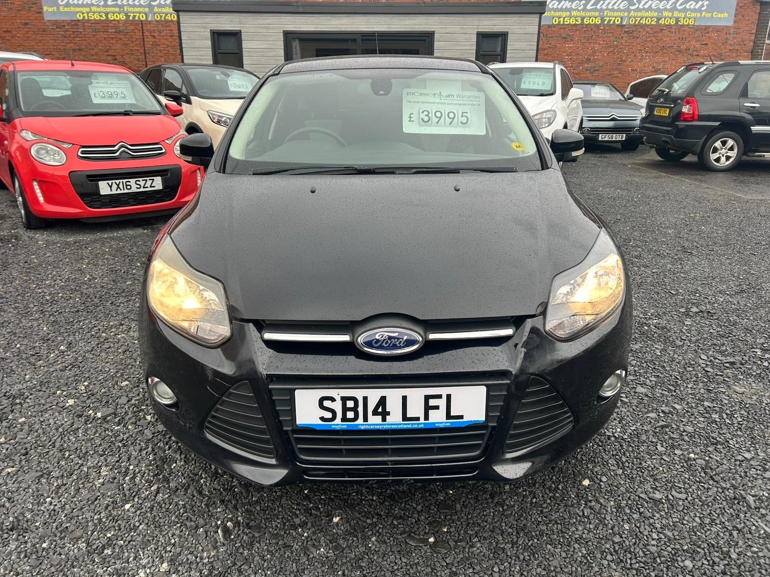 Used Ford Focus 2014 for sale - 77285895: Photo 2