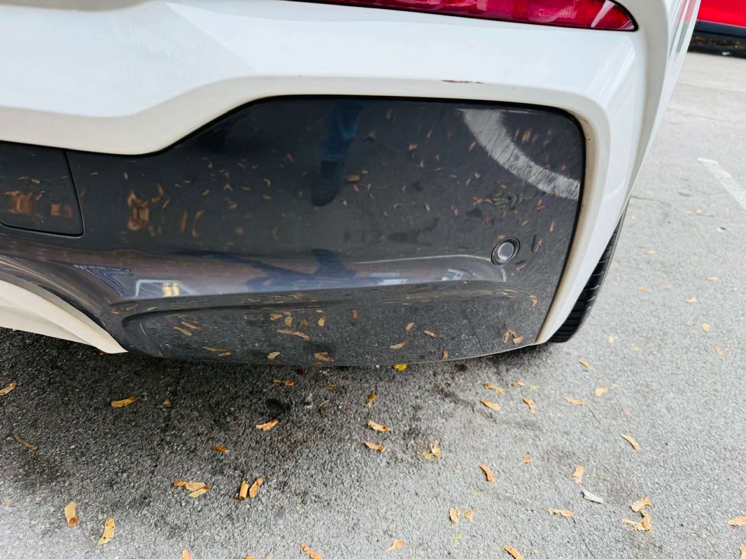 Used BMW X4 2015 for sale - 76249768: Photo 58