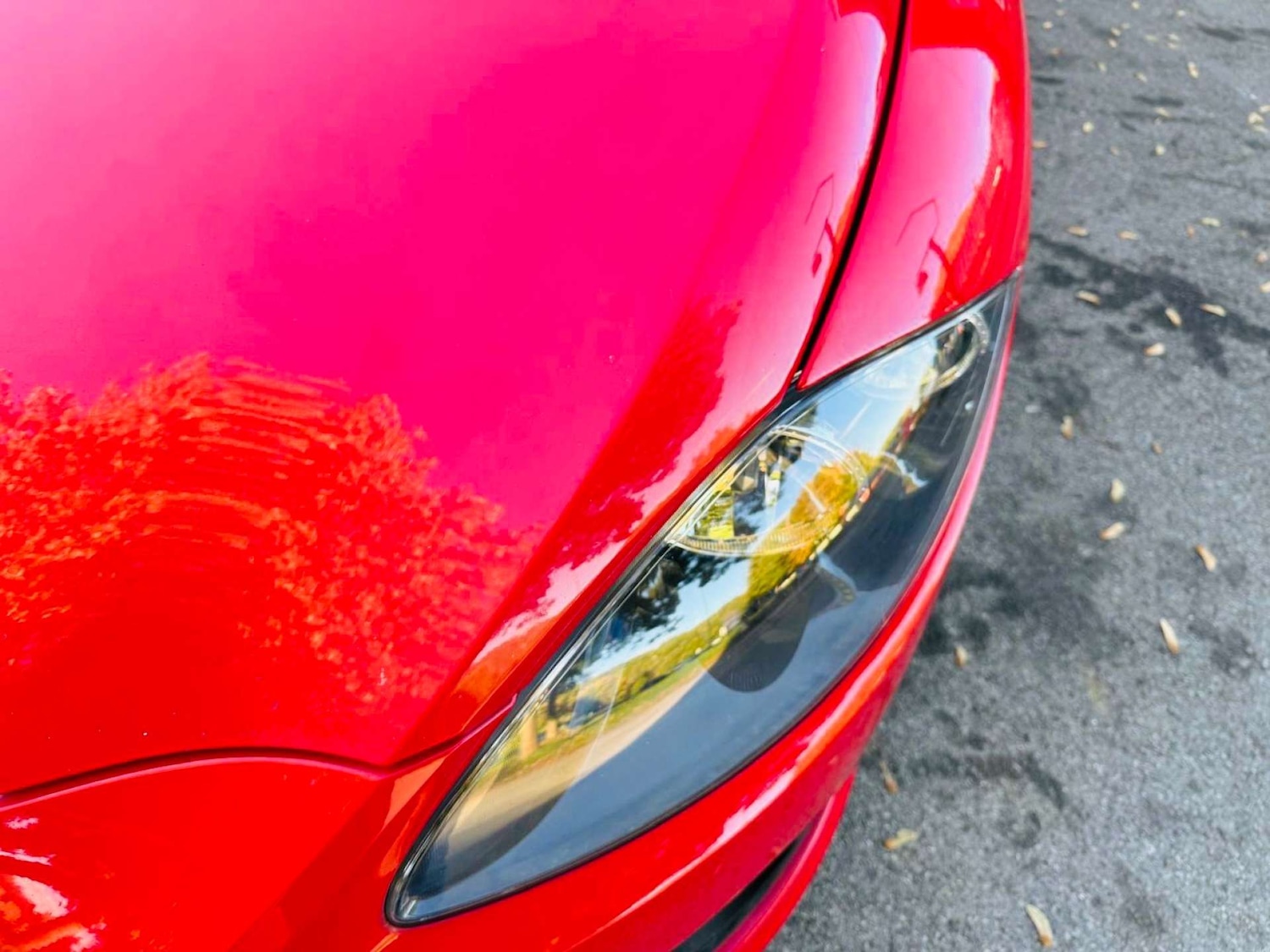 Used SEAT Leon 2008 for sale - 76334975: Photo 25