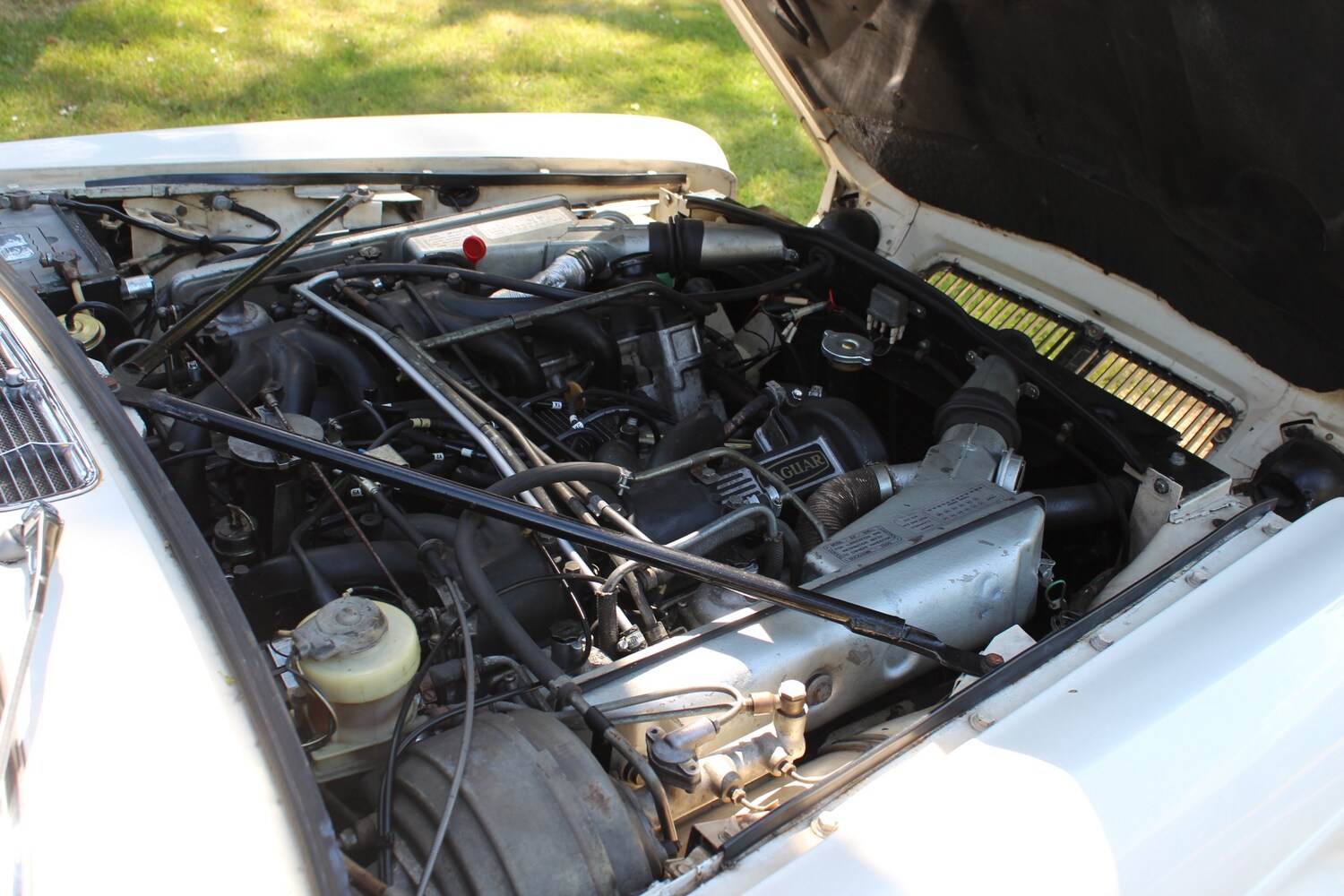 Used Jaguar XJ12 1973 for sale - 77573097: Photo 51