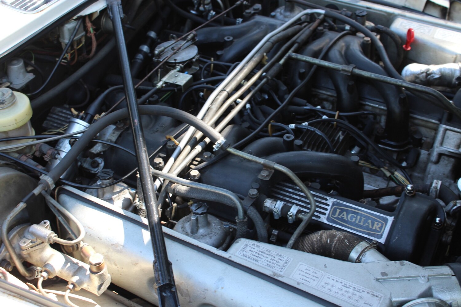 Used Jaguar XJ12 1973 for sale - 77573097: Photo 52