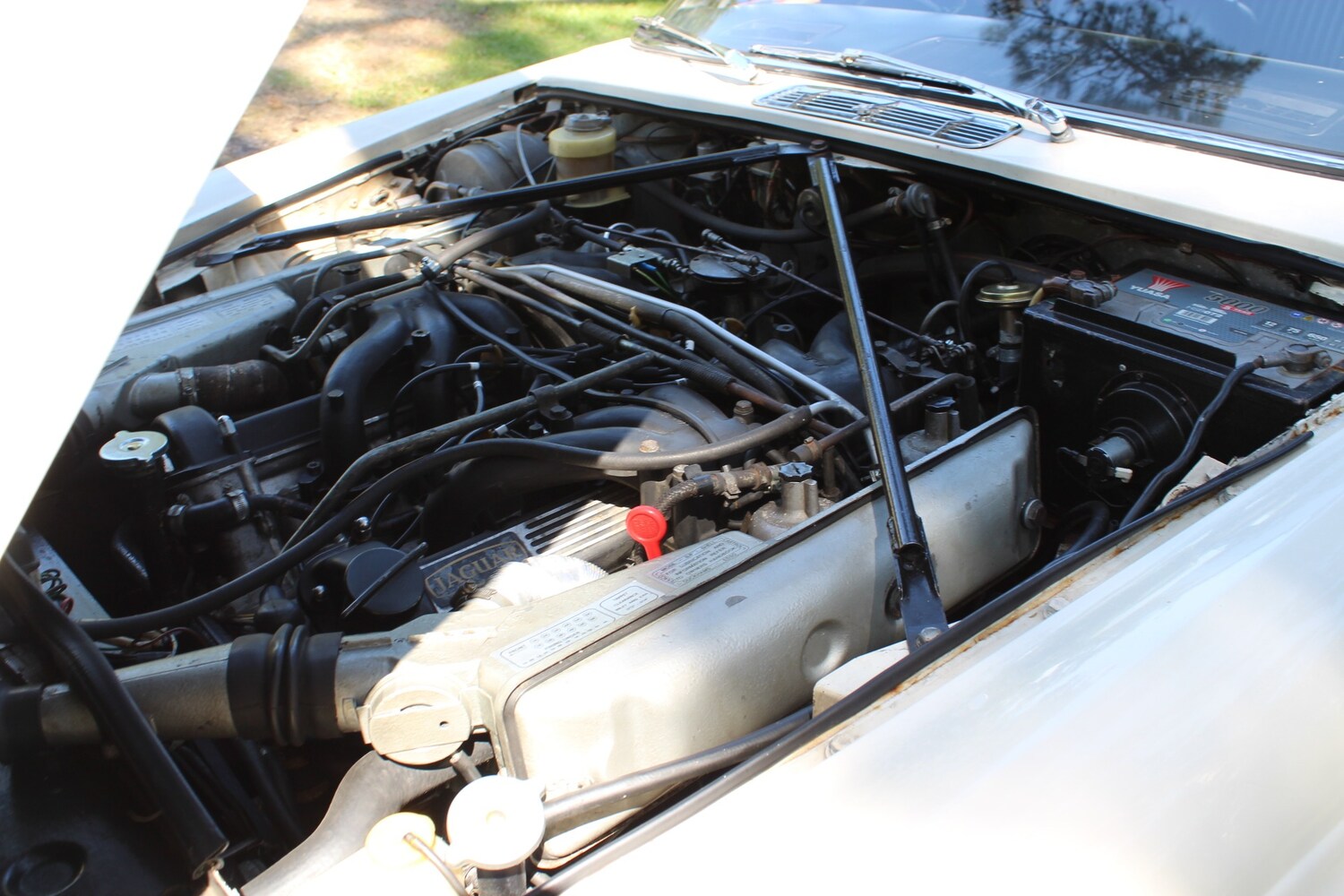 Used Jaguar XJ12 1973 for sale - 77573097: Photo 54