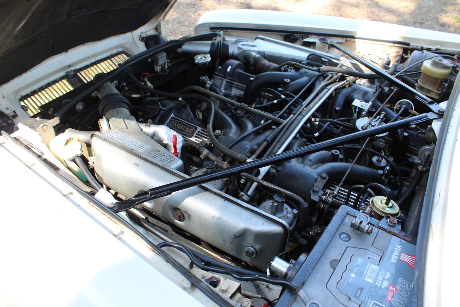 Used Jaguar XJ12 1973 for sale - 77573097: Photo 55