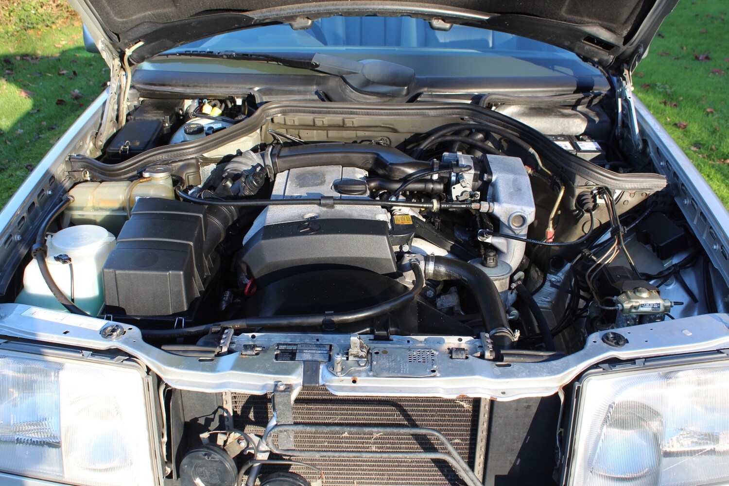 Used Mercedes-Benz E Class 1994 for sale - 77572935: Photo 41