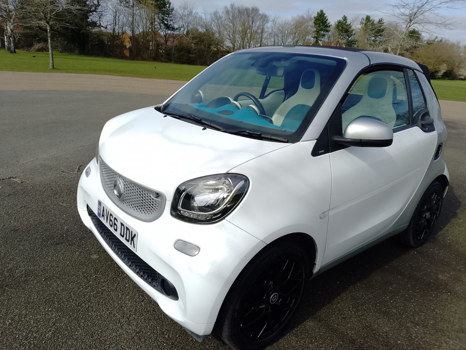 Used smart fortwo 2016 for sale - 77921322: Photo 3