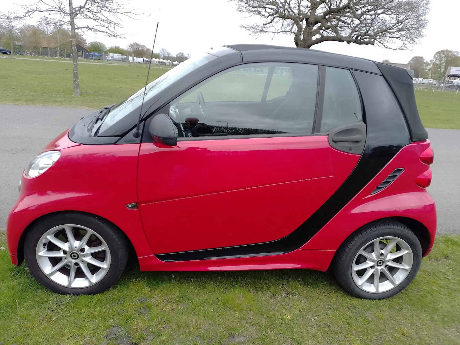 Used smart fortwo 2013 for sale - 78145878: Photo 4