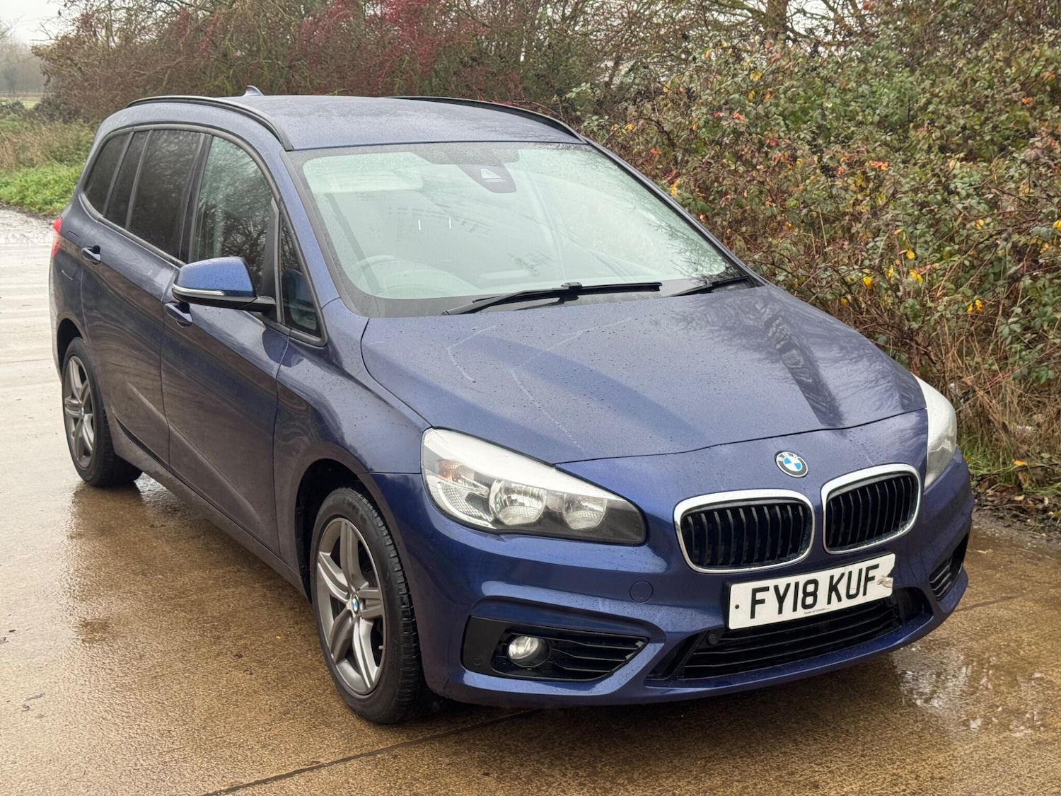 Used BMW 2 Series 2018 for sale - 76987931: Photo 5