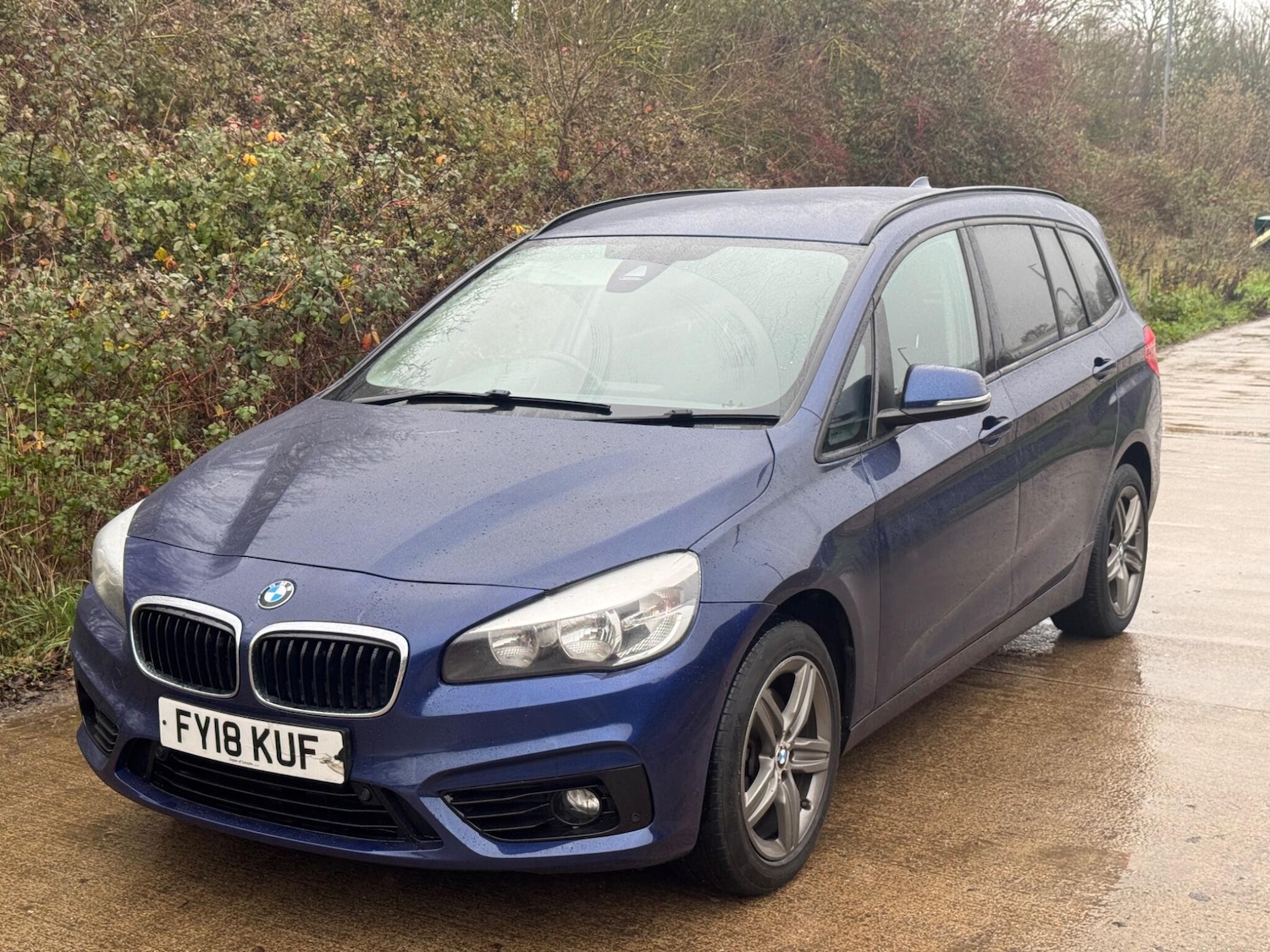 Used BMW 2 Series 2018 for sale - 76987931: Photo 6