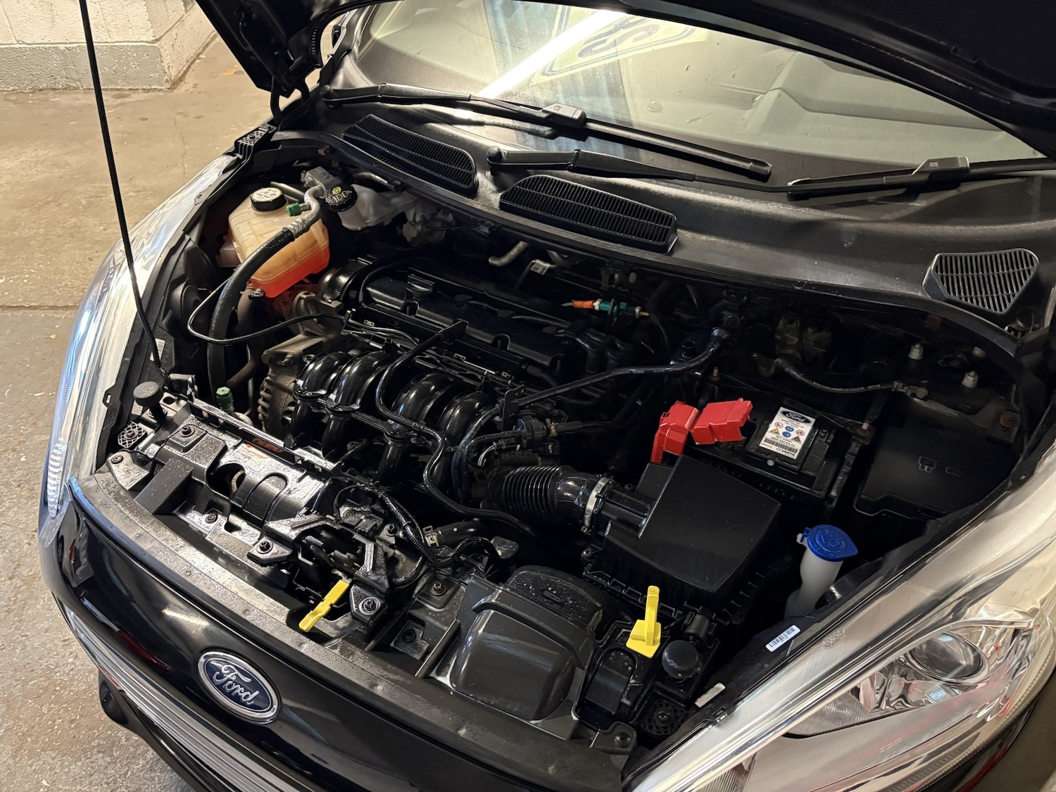 Used Ford Fiesta 2016 for sale - 76412235: Photo 29