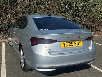 Used Skoda Octavia undefined for sale - 77447213: Photo