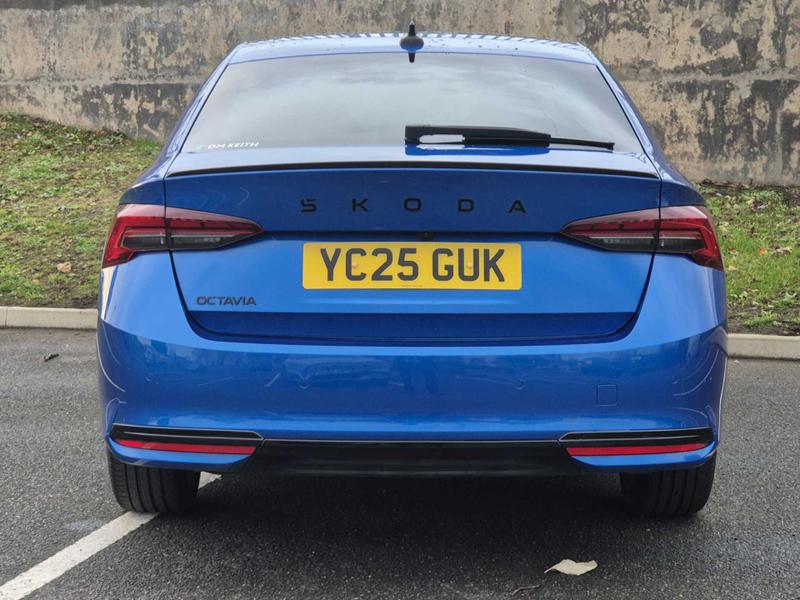 Used Skoda Octavia 2025 for sale - 76480431: Photo 8