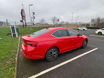 Used Skoda Octavia 2021 for sale - 77367598: Photo