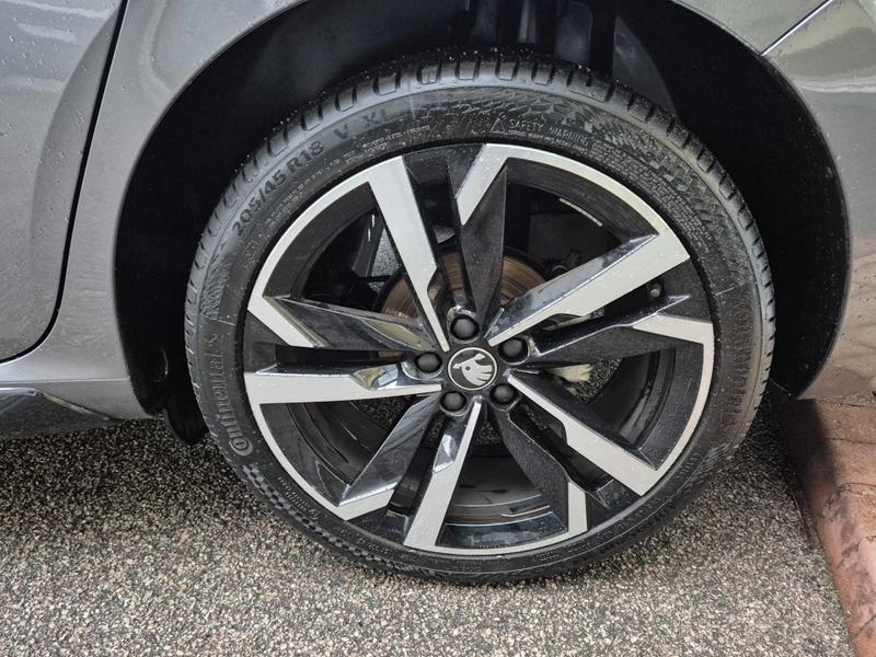 Used Skoda Scala 2025 for sale - 76488588: Photo 4