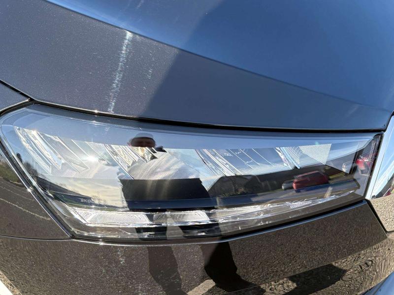 Used Skoda Fabia 2025 for sale - 77774651: Photo 35