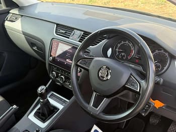 Used Skoda Octavia 2019 for sale - 79665052: Photo