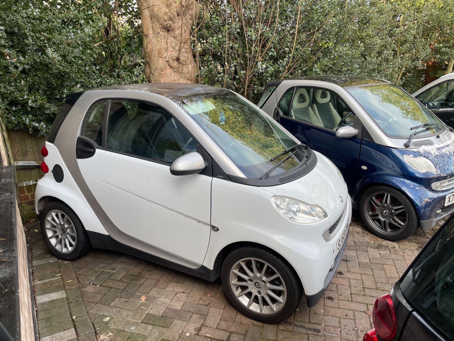 Used smart fortwo 2009 for sale - 77113337: Photo 5