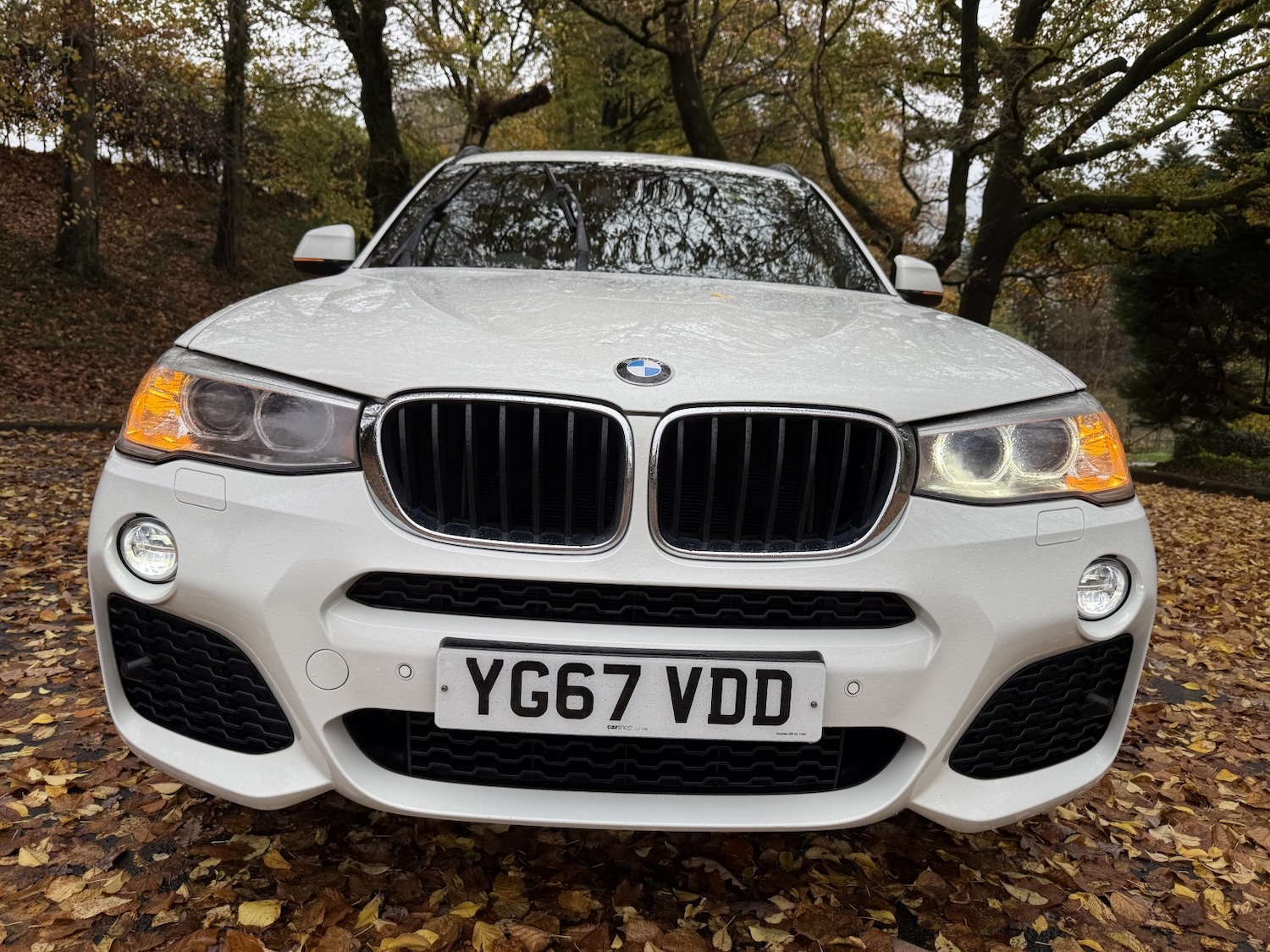 Used BMW X3 2017 for sale - 76536805: Photo 52