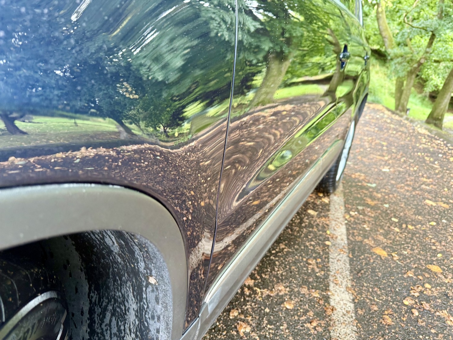 Used Volkswagen Tiguan 2014 for sale - 77073033: Photo 14