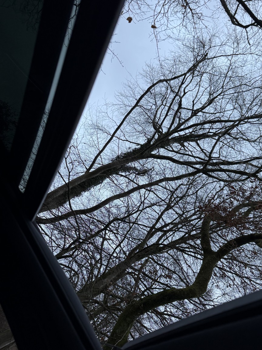 Used BMW 3 Series 2016 for sale - 77073142: Photo 33