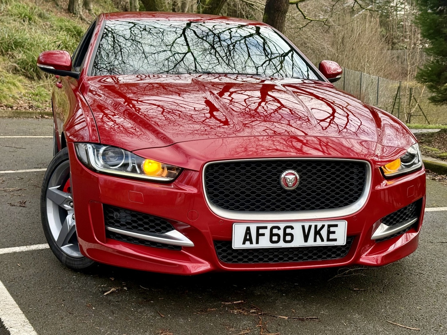 Used Jaguar XE 2016 for sale - 77548242: Photo 3