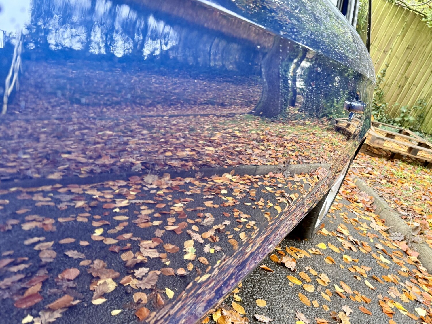 Used Audi A1 2016 for sale - 78213646: Photo 15