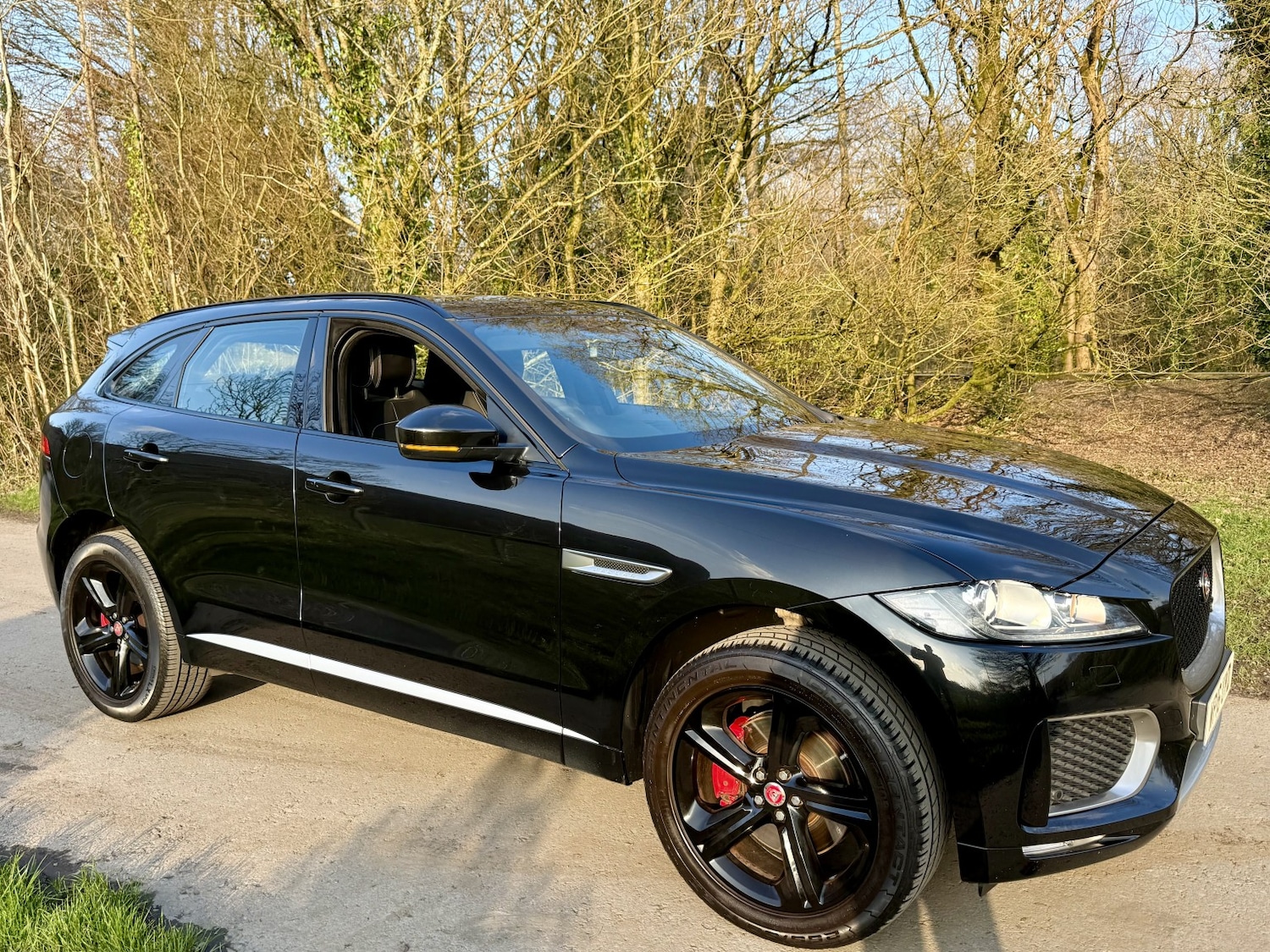 Used Jaguar F-Pace 2016 for sale - 78213603: Photo 2