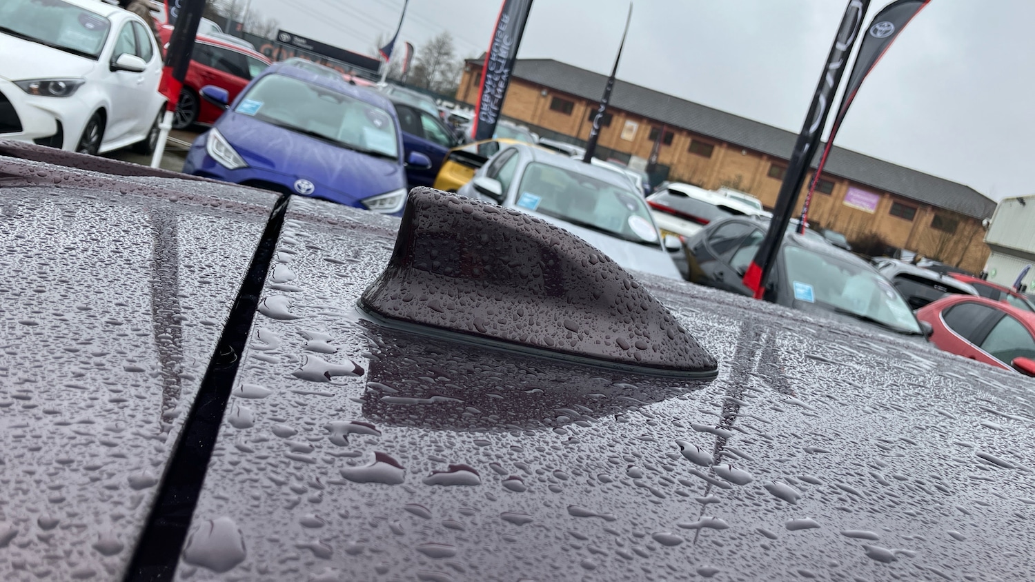 Used Toyota C-HR 2022 for sale - 77779015: Photo 40