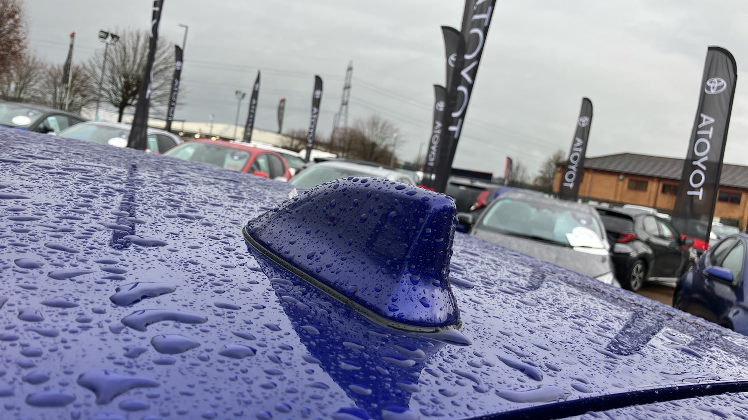 Used Toyota Corolla 2025 for sale - 76940377: Photo 40