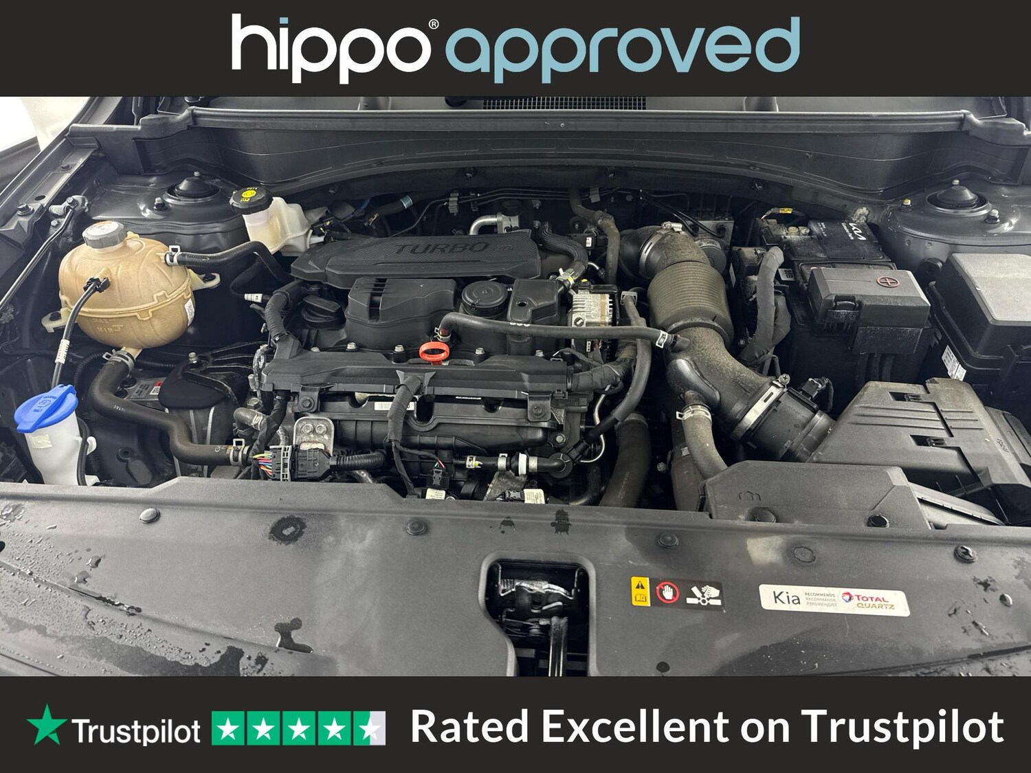 Used Kia Sportage 2023 for sale - 76659163: Photo 28