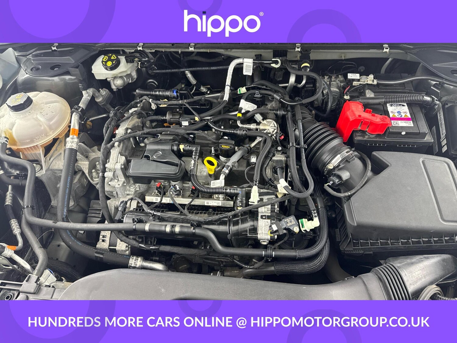 Used Ford Kuga 2023 for sale - 76824277: Photo 28