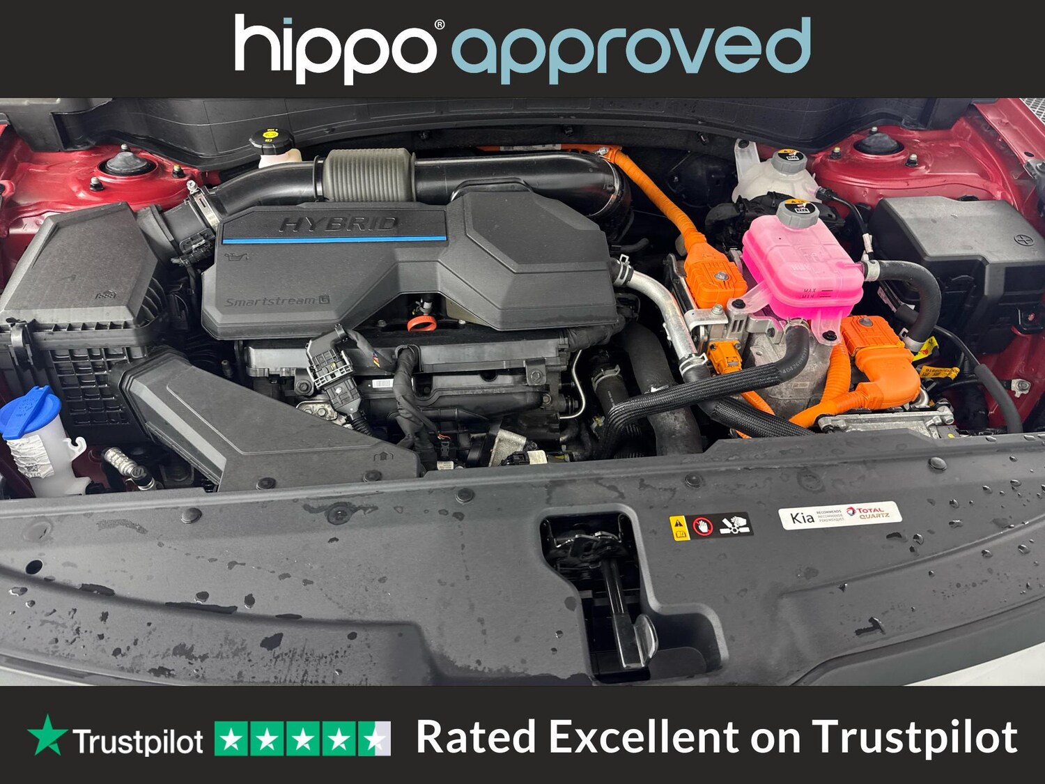 Used Kia Sportage 2024 for sale - 76657720: Photo 30