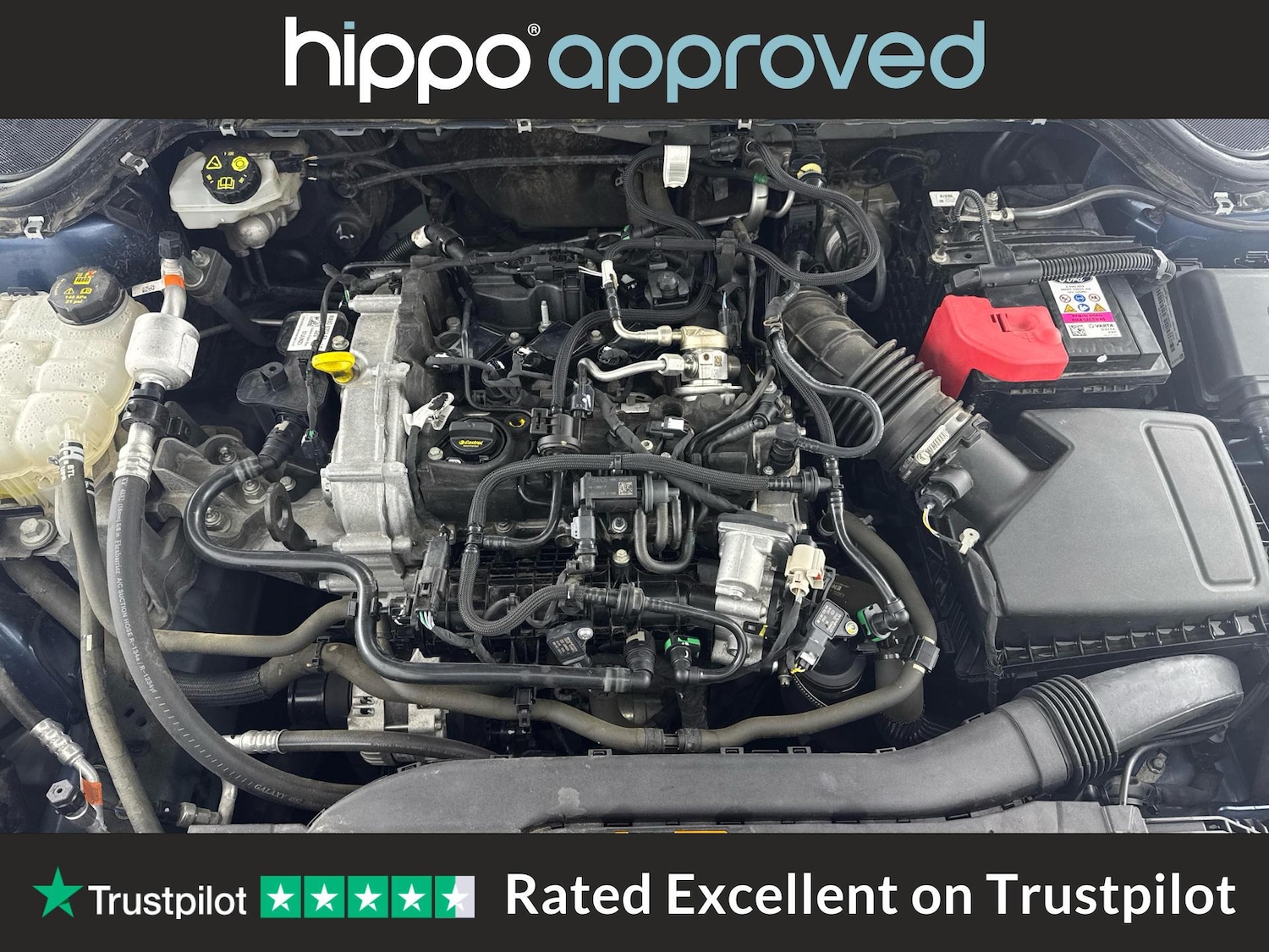 Used Ford Focus 2023 for sale - 76658073: Photo 29