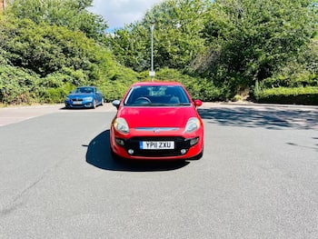Used Fiat Punto Evo 2011 for sale - 79648990: Photo