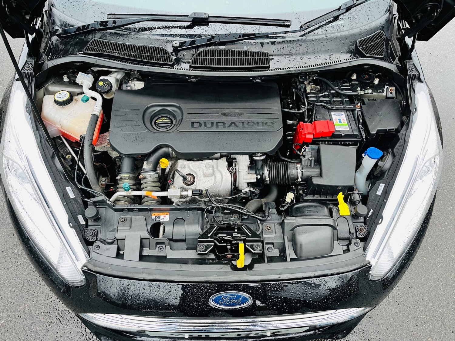 Used Ford Fiesta 2017 for sale - 78011380: Photo 47