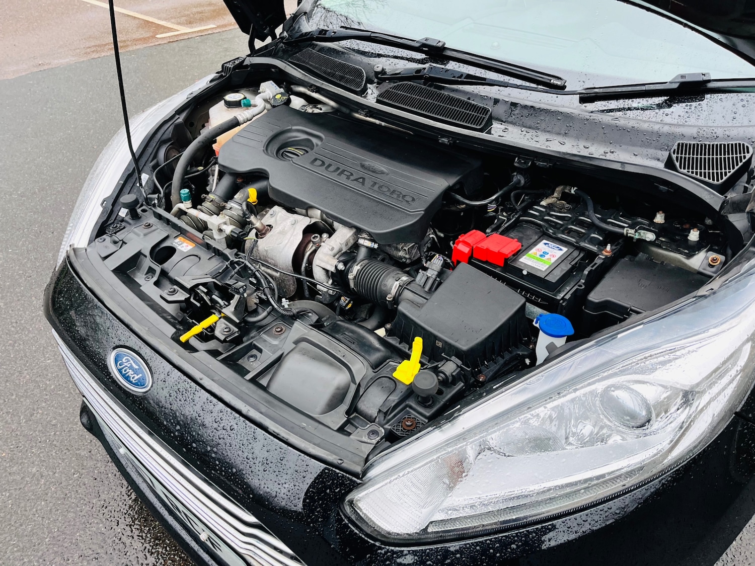 Used Ford Fiesta 2017 for sale - 78028403: Photo 46