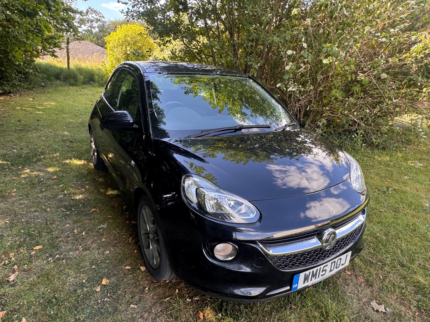 Vehicle 1
