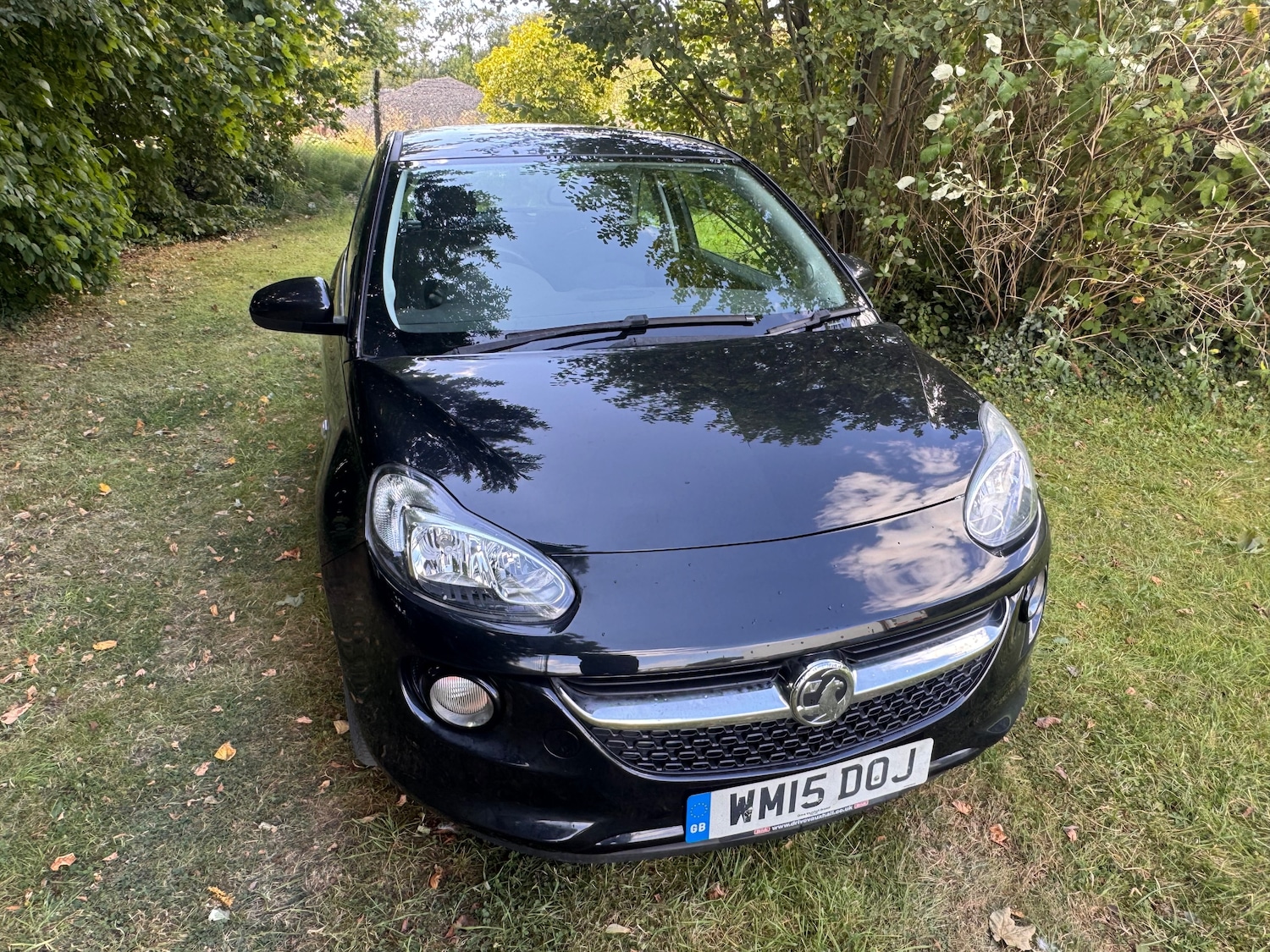 Vehicle 11