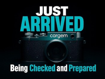 Used Ford Focus 2021 for sale - 77305198: Photo