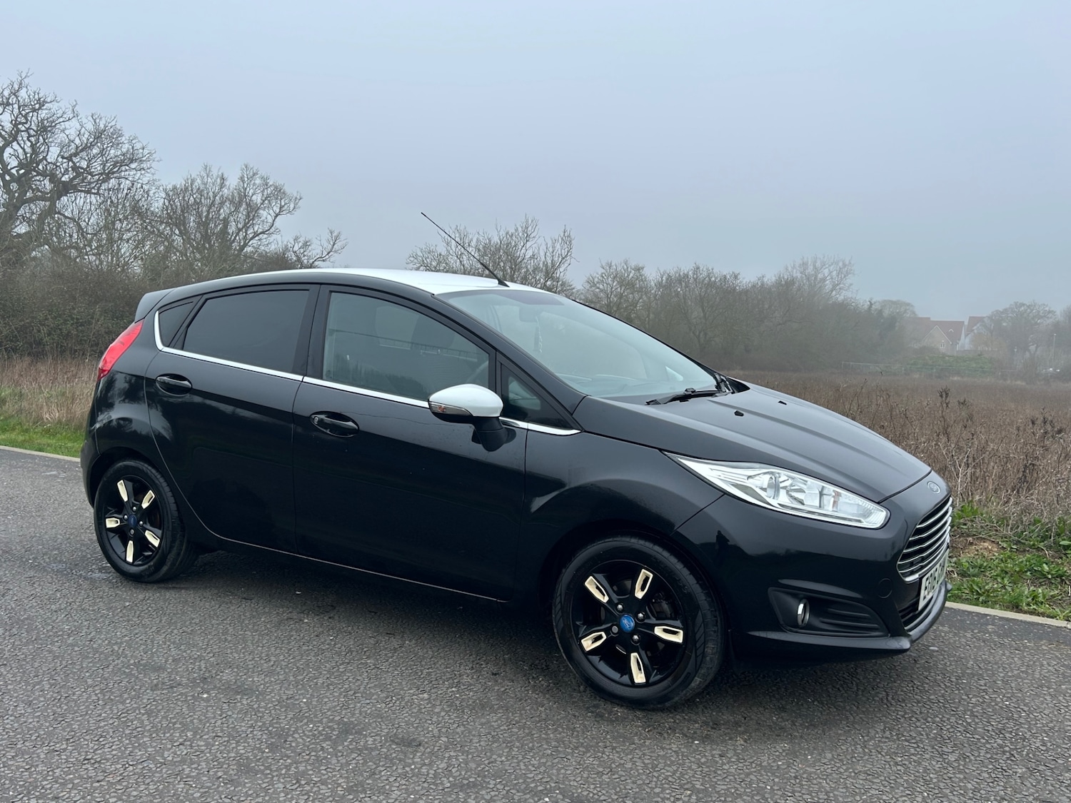 Used Ford Fiesta 2016 for sale - 77742579: Photo 7