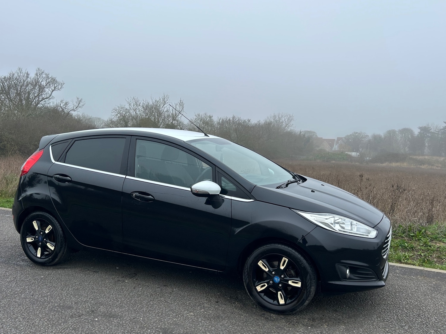 Used Ford Fiesta 2016 for sale - 77742579: Photo 8