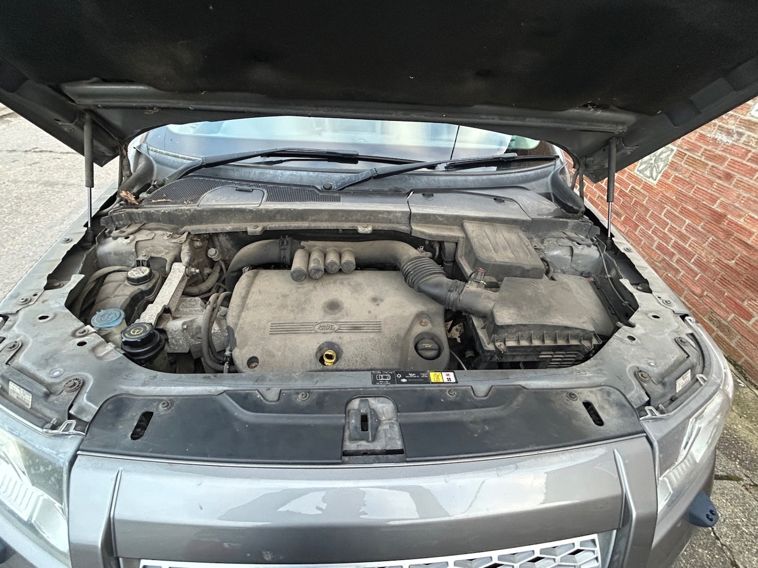 Used Land Rover Freelander 2008 for sale - 77553564: Photo 5