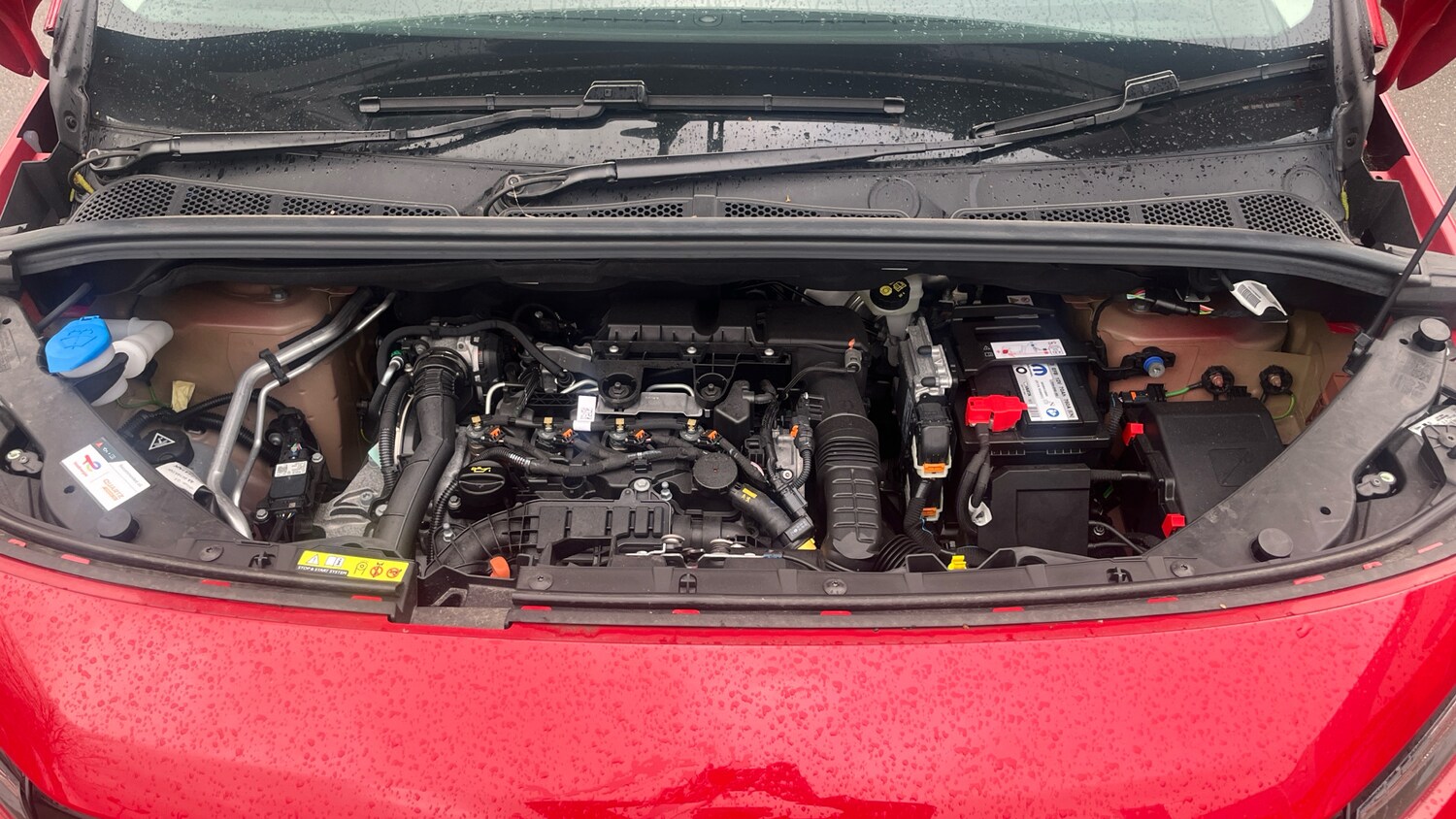 Used Citroen Berlingo 2024 for sale - 77479936: Photo 18